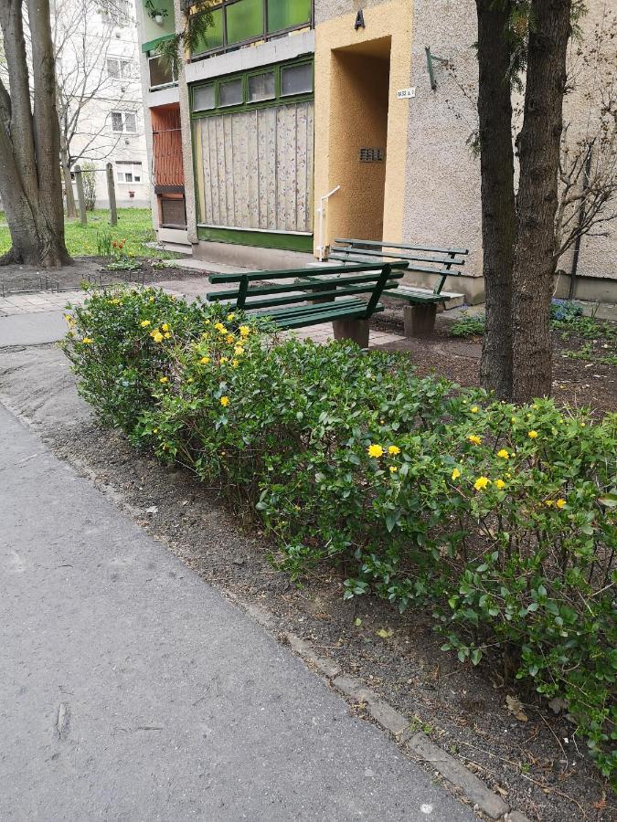 Natasa Apartman Oroshaza Exterior photo